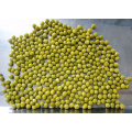 Guisantes en conserva 3000g